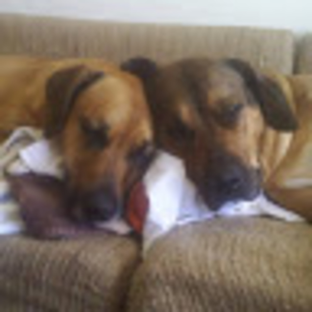 Meet your Posher, Melanie